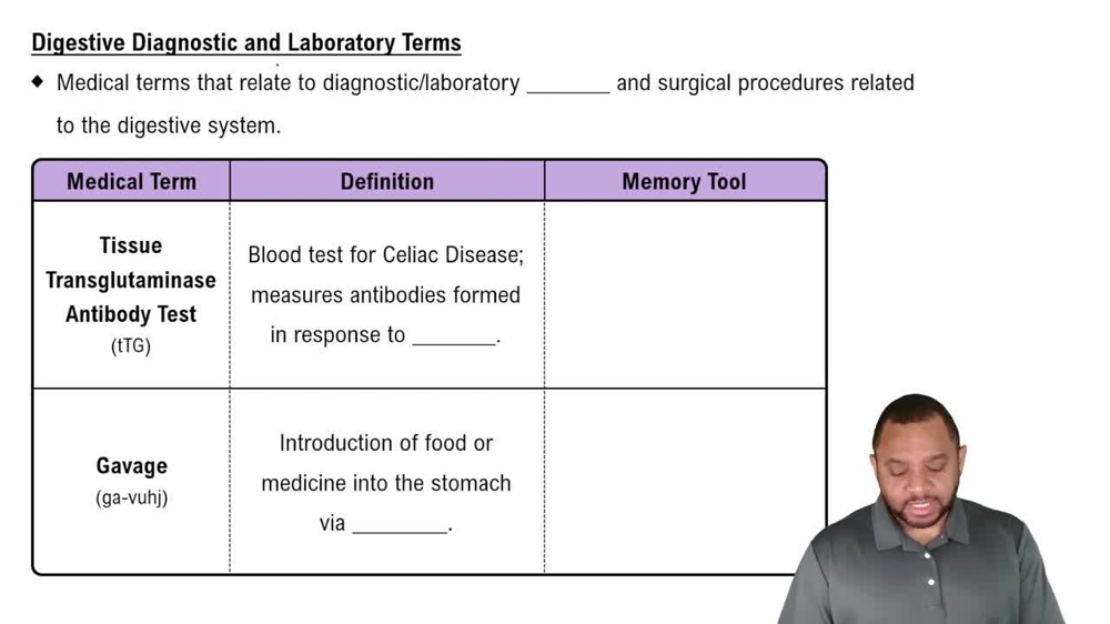 Digestive Diagnostic and Laboratory Terms Concept 2
