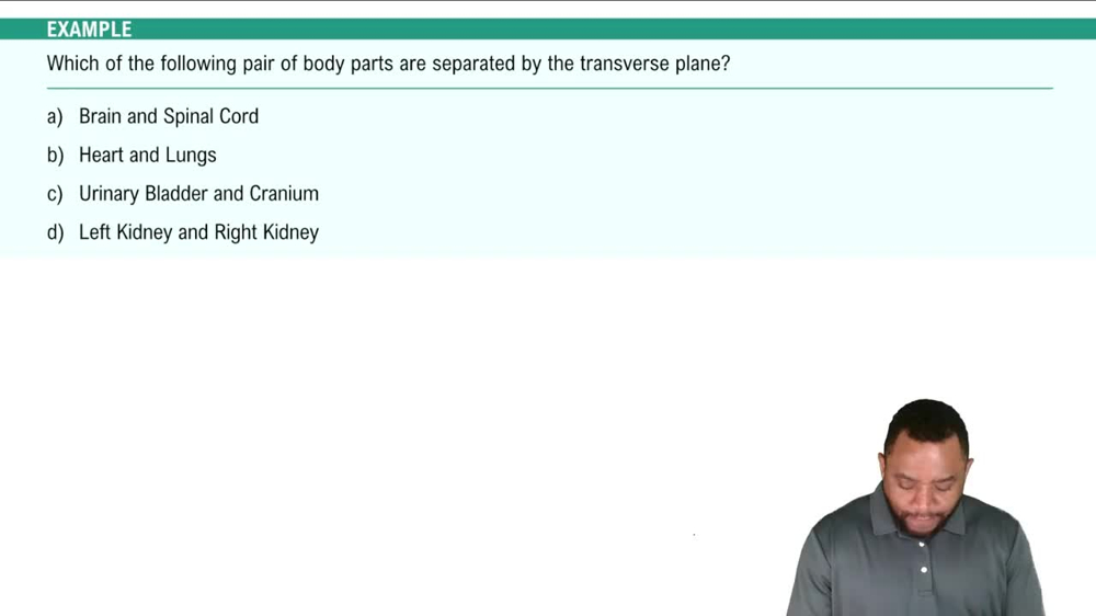 Body Planes Example 1