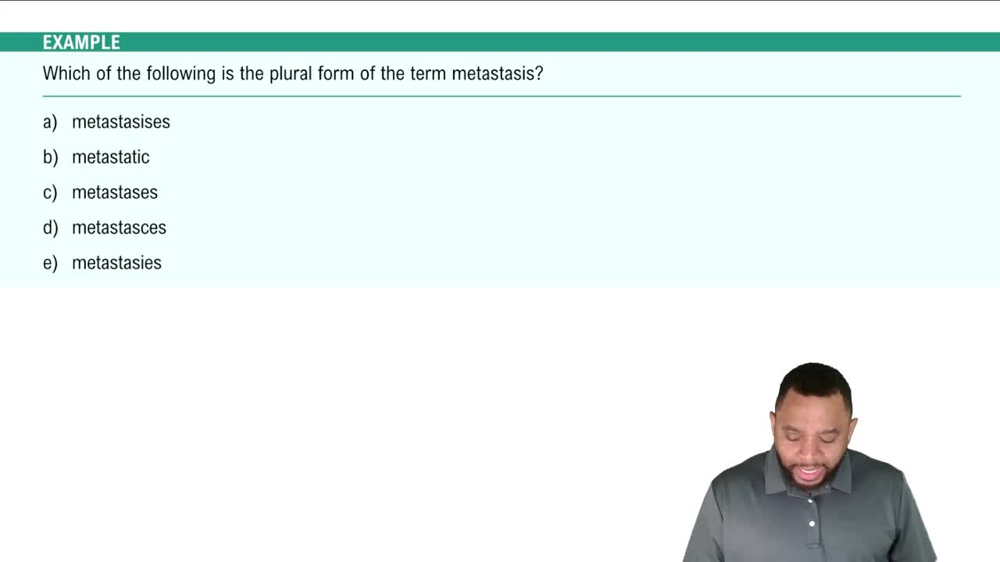 Formation of Plural Ending Example 1