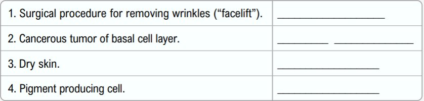 Fill-in-the-blank worksheet with four medical definitions related to skin conditions and procedures.