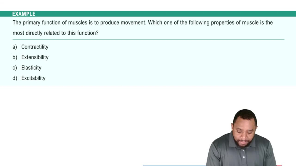 Properties of Muscles Example 1
