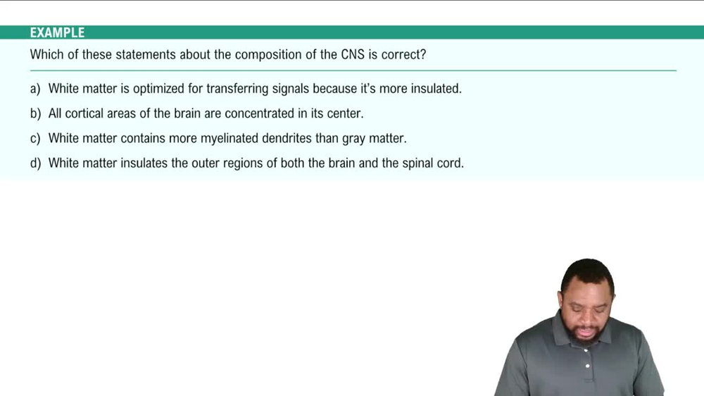 CNS: Composition Example 1