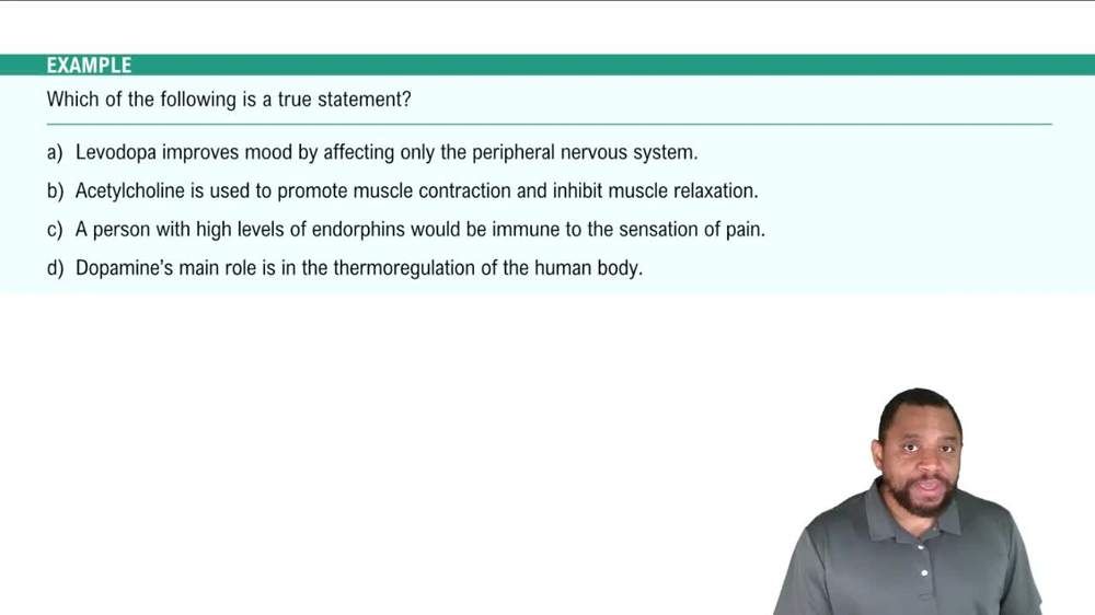 Physiology & Pharmacology Example 3