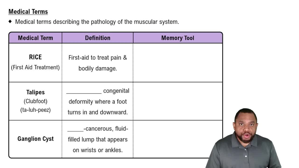 Medical Terms Concept 1