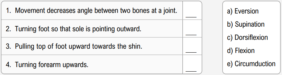 Matching exercise with descriptions of joint movements and corresponding options to select the correct term.