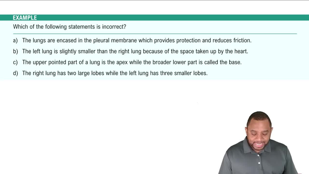 Lower Respiratory Tract: Lungs Example 7