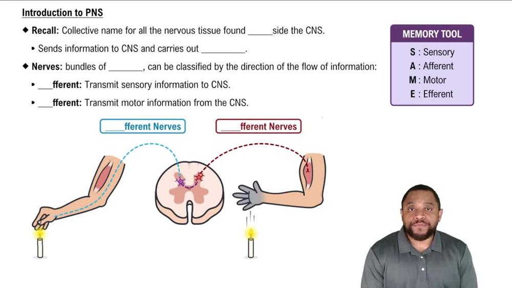 Introduction to PNS Concept 1