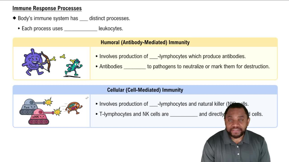 Immune Response Processes Concept 3