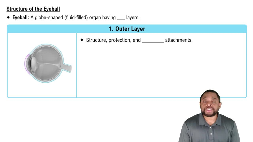 Structure of the Eyeball Concept 2