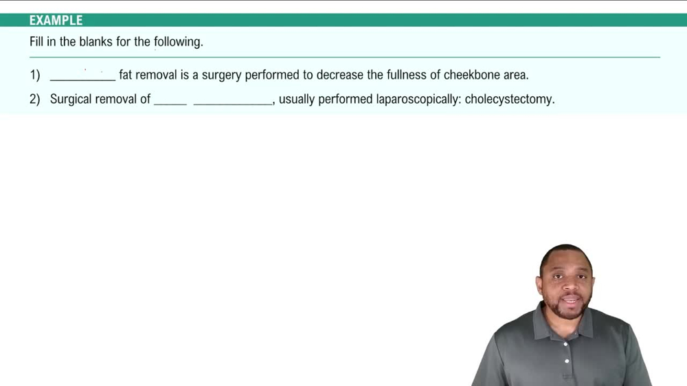 Components of Digestive System Example 1