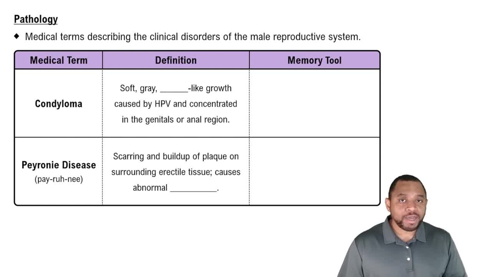 Pathology Concept 1