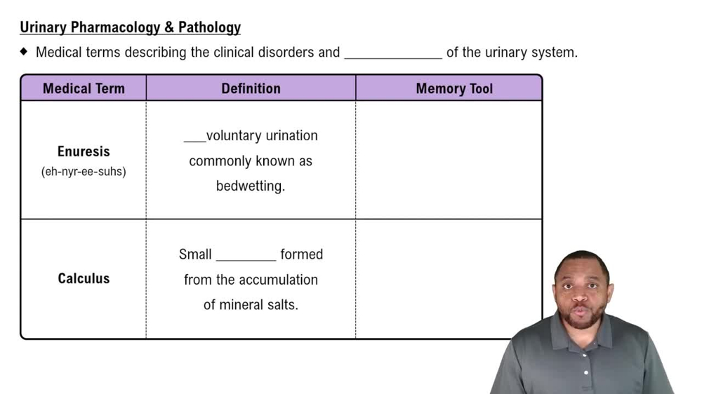 Urinary Pharmacology & Pathology Concept 1