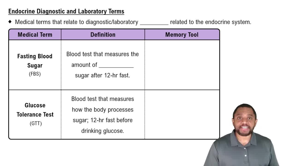Endocrine Diagnostic and Laboratory Terms Concept 2