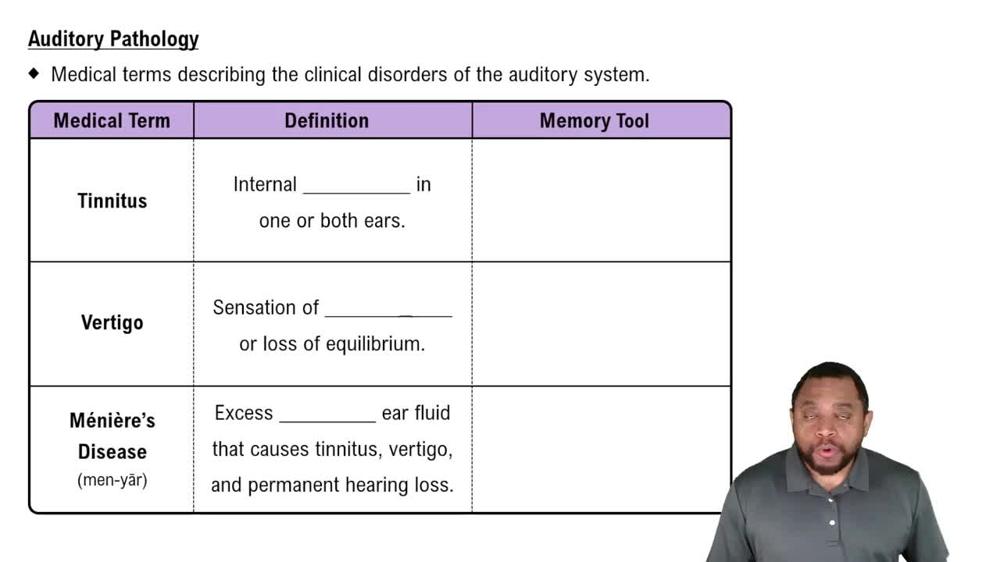 Auditory Pathology Concept 1