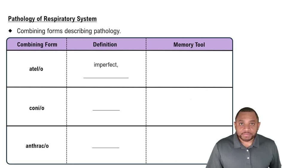 Pathology of Respiratory System Concept 2