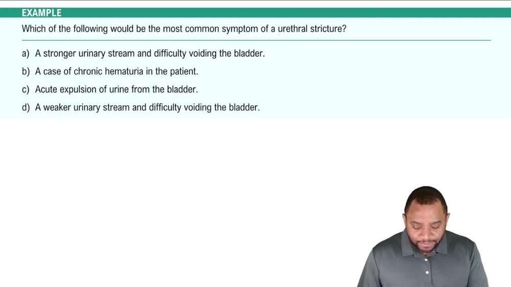 Urinary Pharmacology & Pathology Example 1