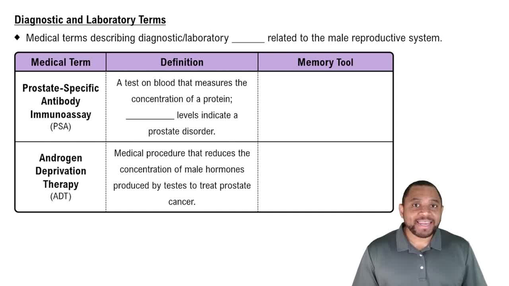 Diagnostic and Laboratory Terms Concept 2
