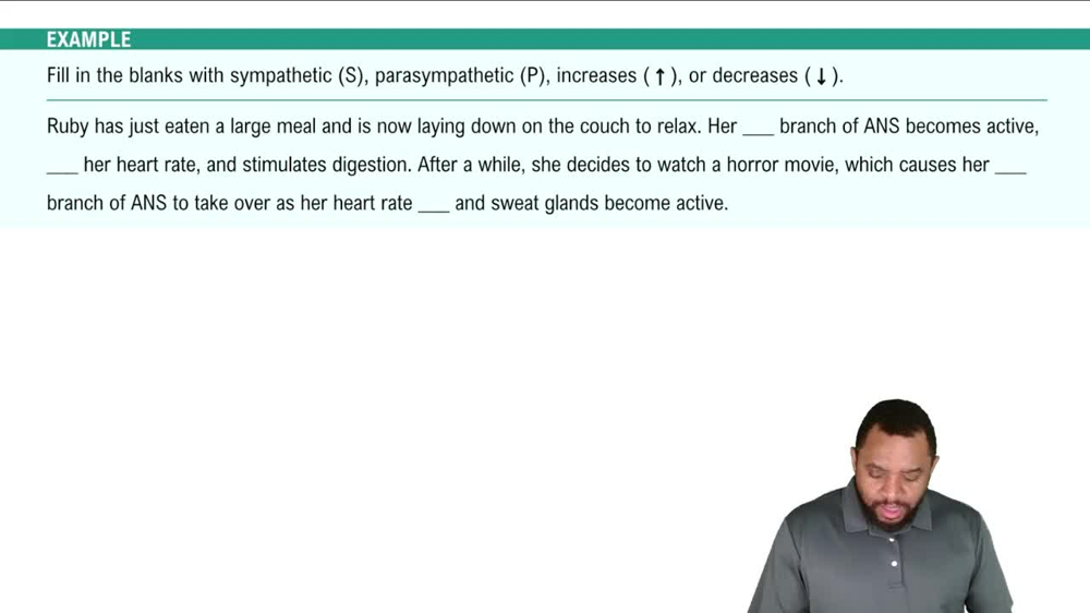 Branches of ANS Example 3