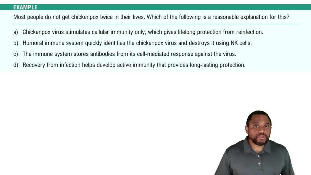 Immune Response Processes Example 2