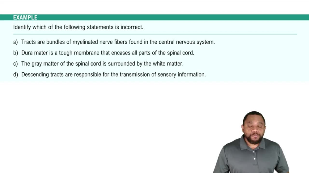 CNS: Spinal Cord Example 4