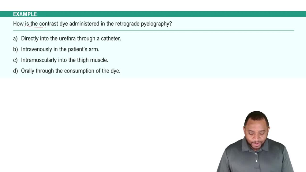 Urinary Diagnostic and Laboratory Terms Example 2