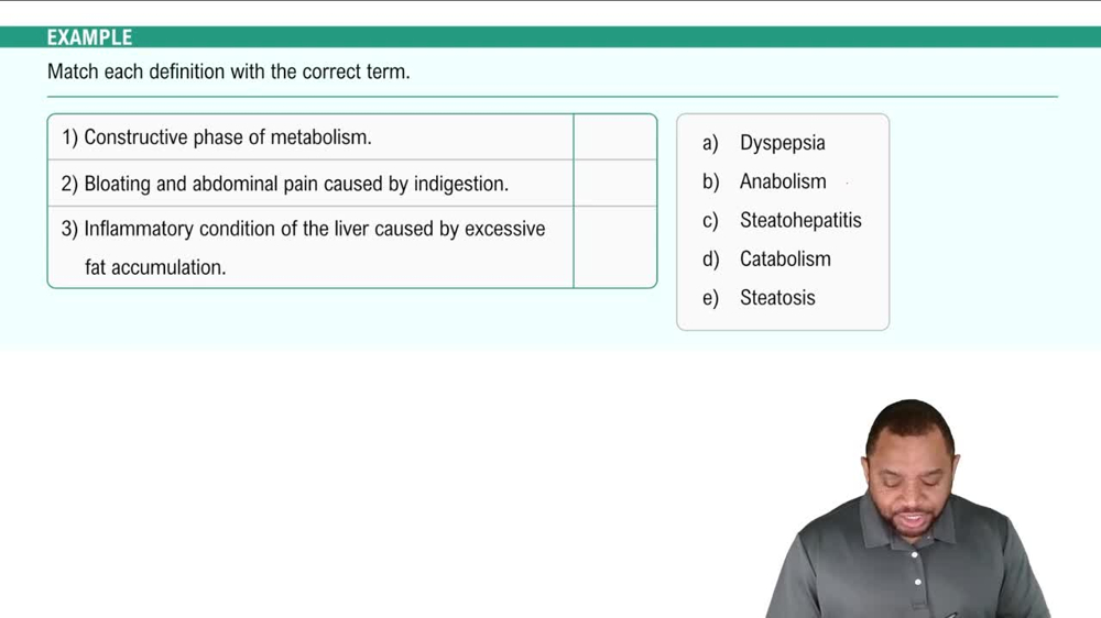 Processes and Pathology of Digestive System Example 2
