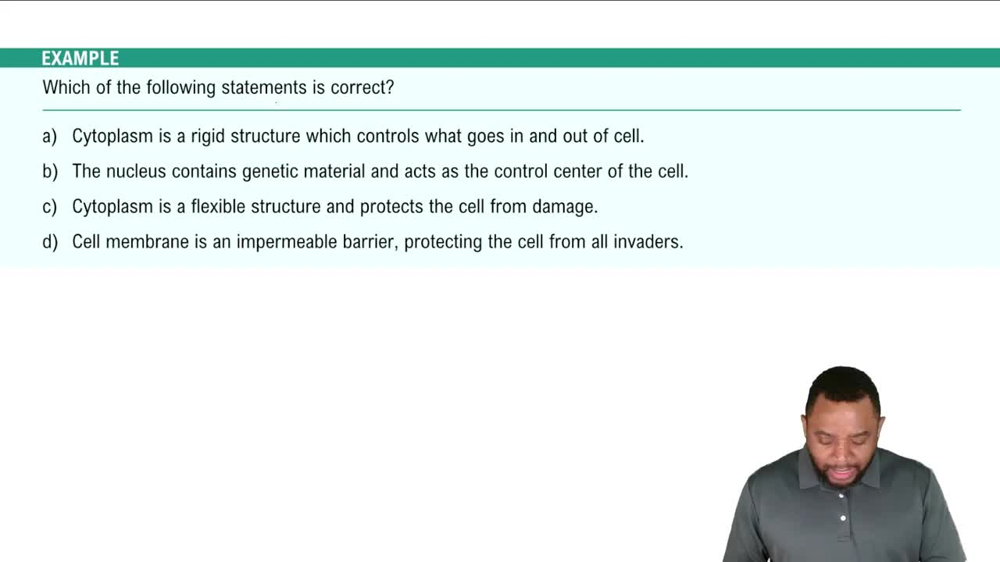 Cell Level Example 1
