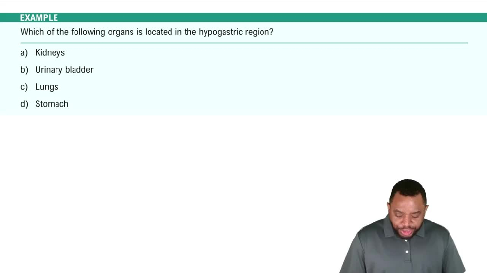 Abdominopelvic Regions Example 1