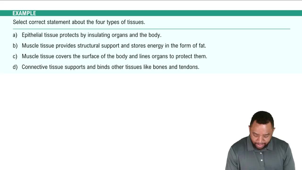 Tissue Level Example 2