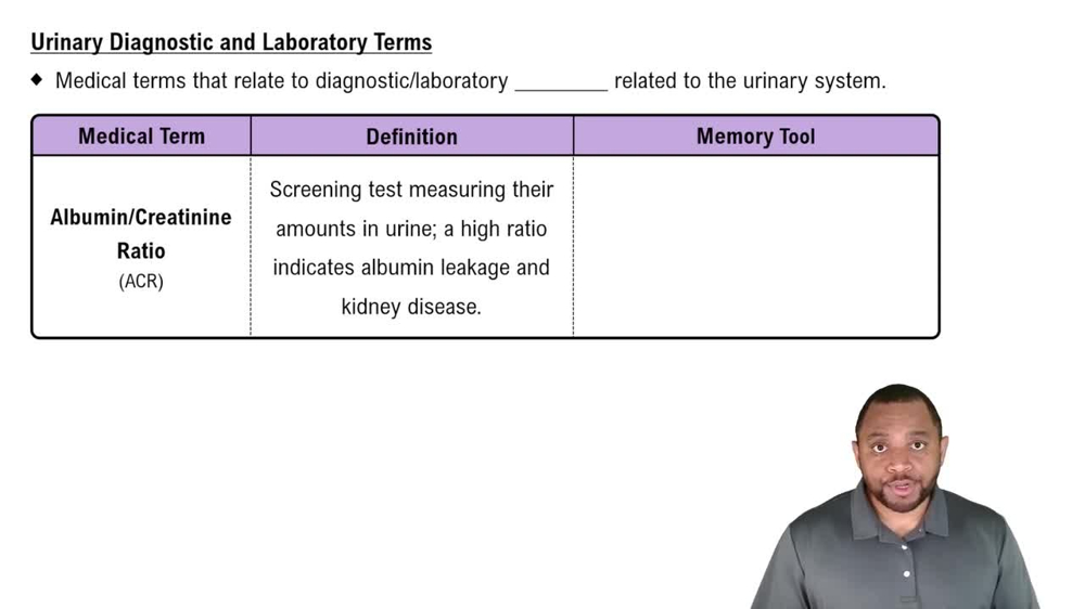 Urinary Diagnostic and Laboratory Terms Concept 2