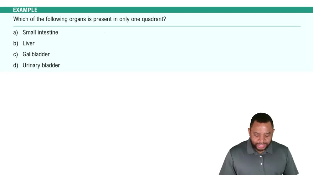 Abdominopelvic Quadrants Example 2
