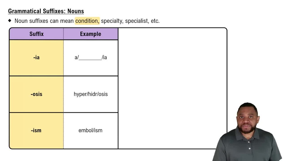 Grammatical Suffixes: Nouns Concept 3
