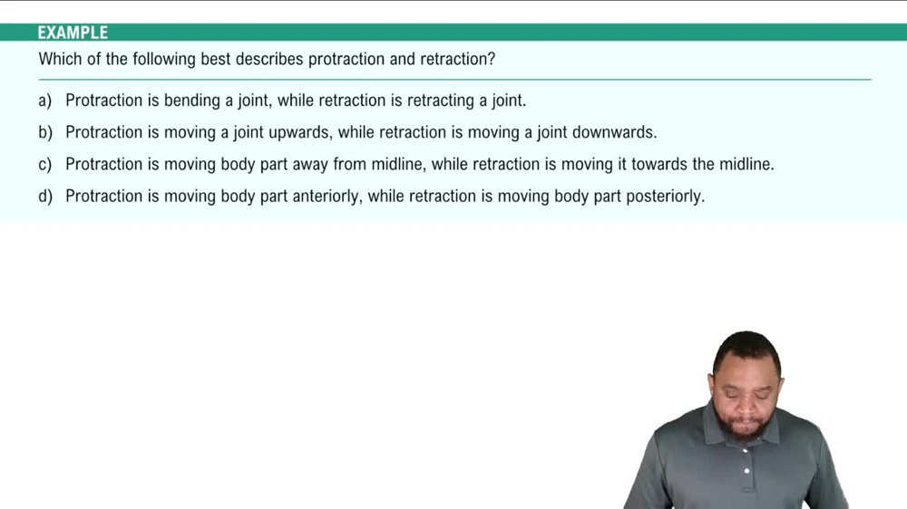 Joint Movements Example 2
