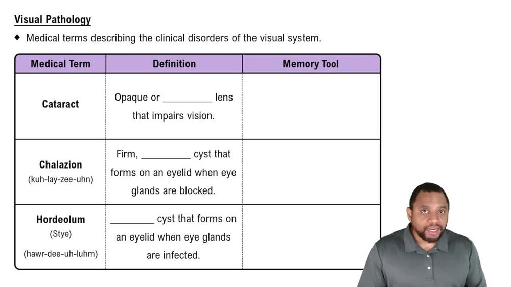 Visual Pathology Concept 1