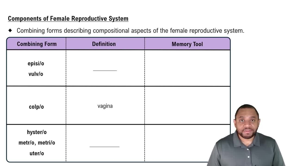 Components of Female Reproductive System Concept 1