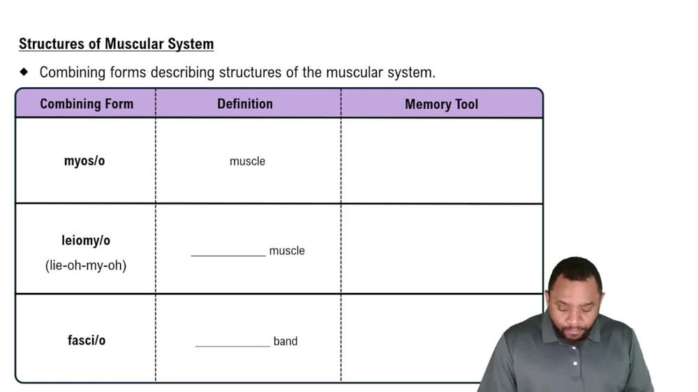 Structures of Muscular System  Concept 1