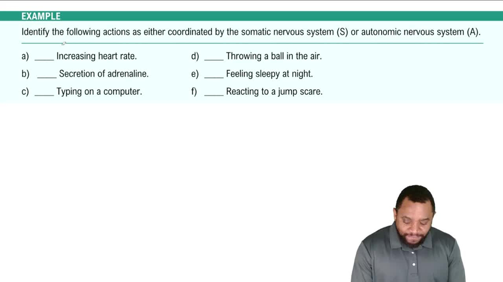 Subdivisions of the PNS Example 2
