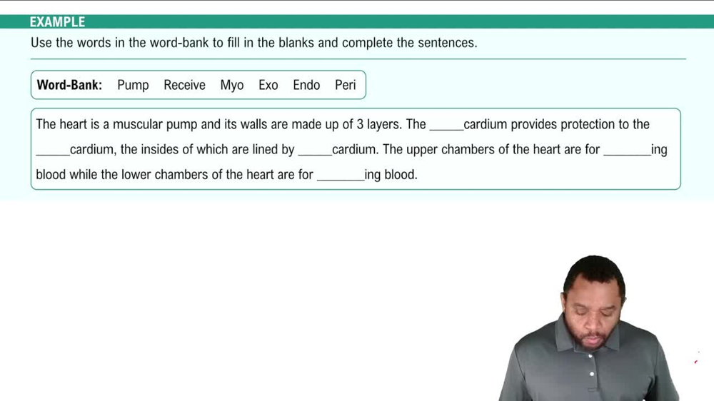 Introduction to Heart Structure Example 1