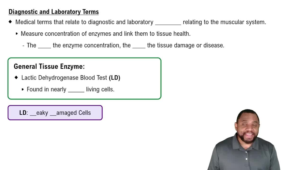 Diagnostic and Laboratory Terms Concept 3