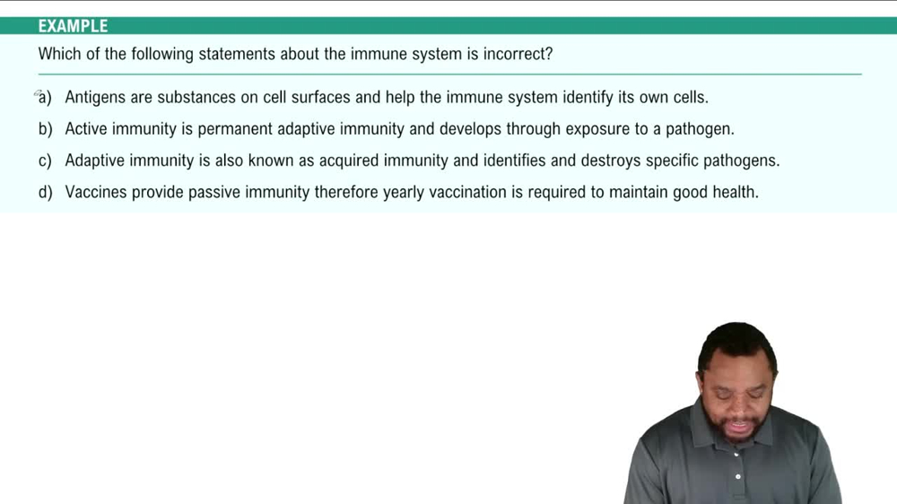 Types of the Immunity Concept 2