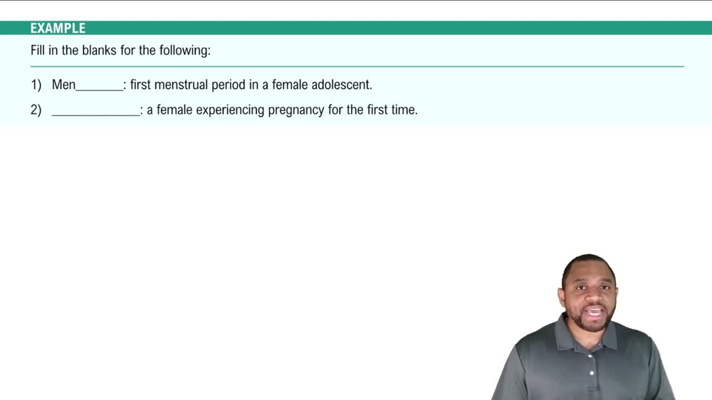 Suffixes and Prefixes Example 3