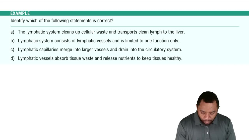 Introduction to Lymphatic System Example 1