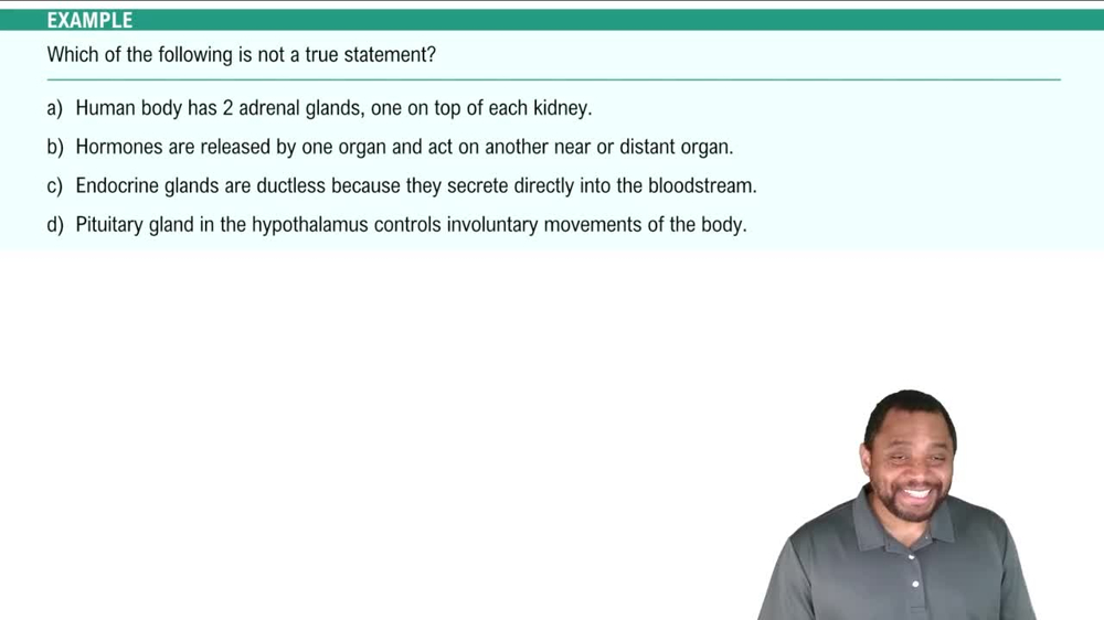 Components of the Endocrine System Example 1