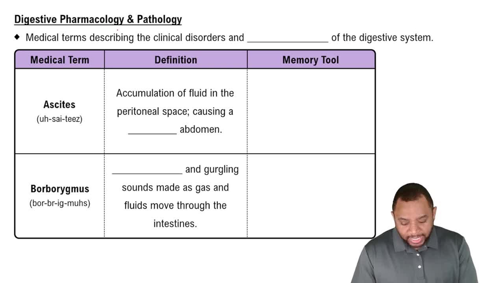 Digestive Pharmacology & Pathology Concept 1