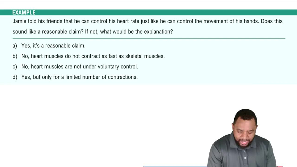 Types of Muscles  Example 2