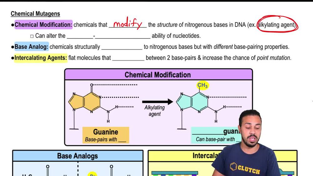 Chemical Mutagens