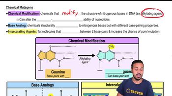 Chemical Mutagens
