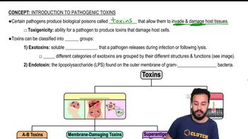 Introduction to Pathogenic Toxins