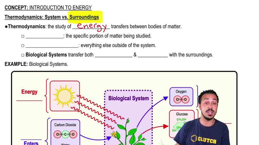 Thermodynamics:System vs. Surroundings
