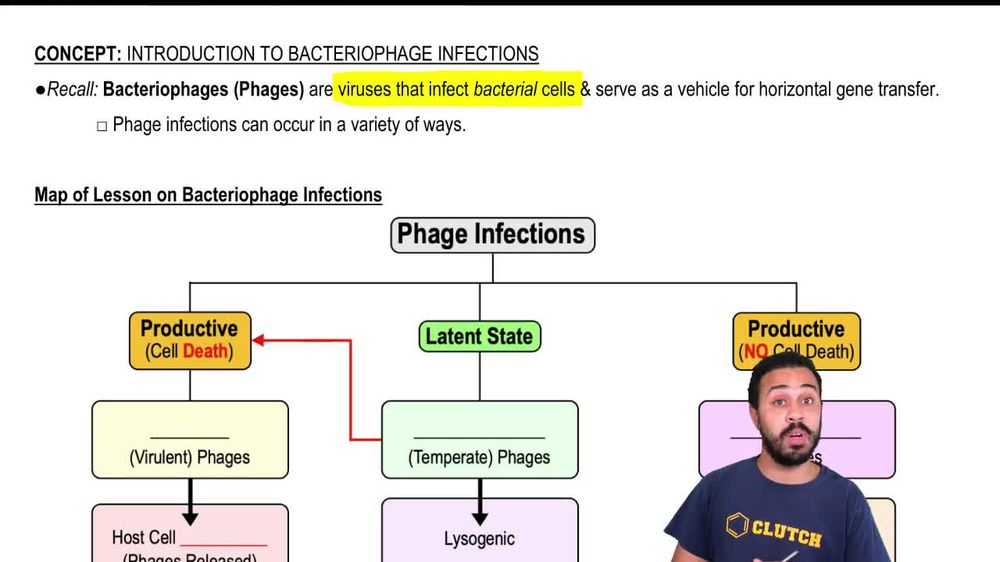 Map of Lesson on Bacteriophage Infections